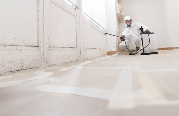 24/7 Emergency Crawl Space Mold Remediation experts in Dunn Loring, VA