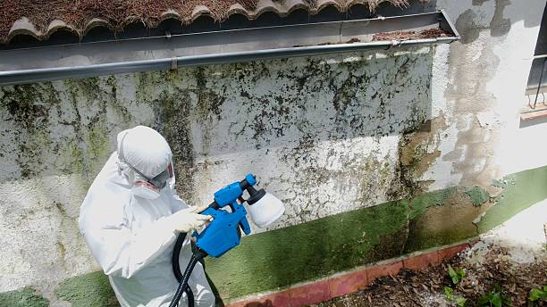 Top rated local Crawl Space Mold Remediation specialists in Dunn Loring, VA